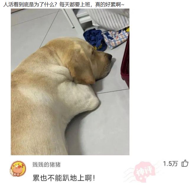 法尔克:拜仁有意孔德但需卖博埃,金玟哉和布雷默可能互换