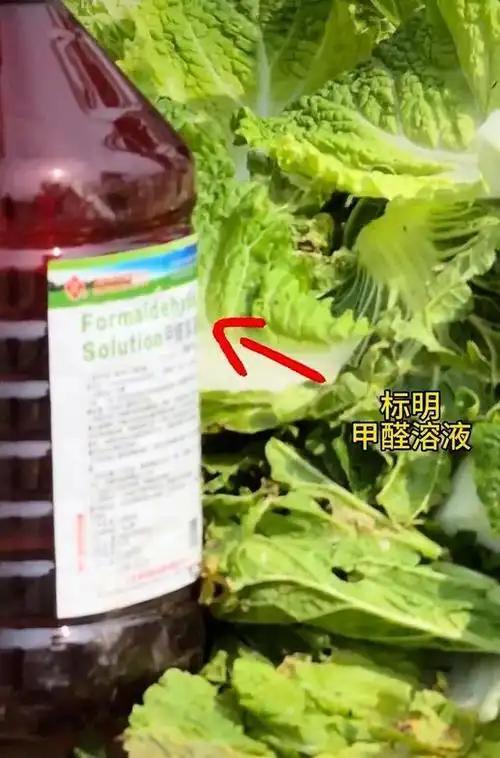 两性关系：发现了没，寿命长的男人，大多都有这五个好习惯