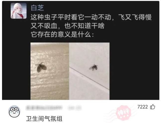 法尔克:拜仁有意孔德但需卖博埃,金玟哉和布雷默可能互换